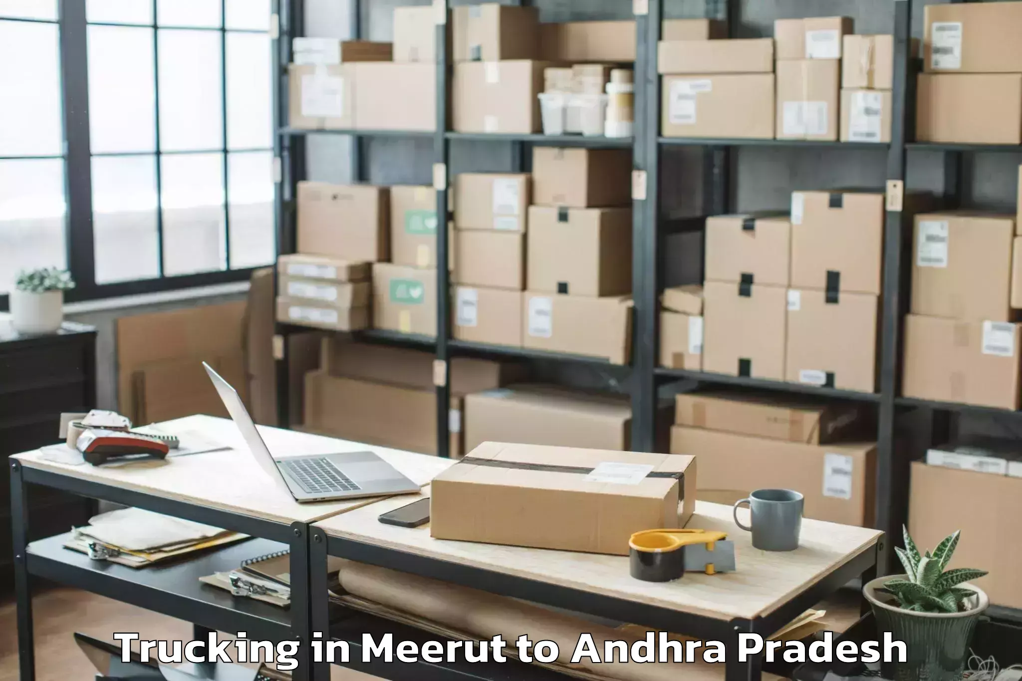 Expert Meerut to Pedaparupudi Trucking